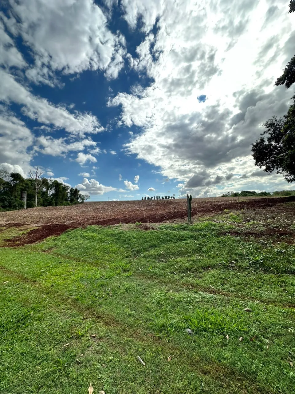Chacara com 3.66 alqueire 